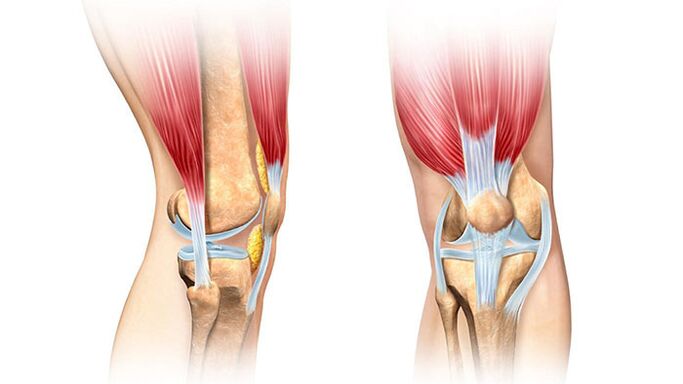 Knie und seine Behandlung von Schmerzen