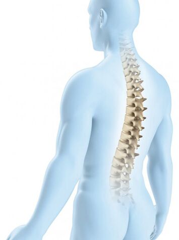 Die Läsion der Brustregion ist aufgrund ihrer physiologischen Kraft weniger wahrscheinlich